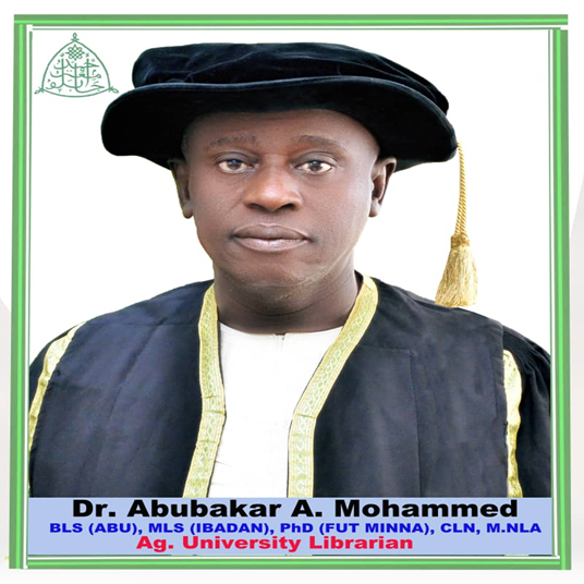 dr abubakar