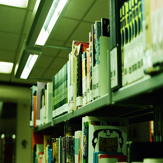libry2 536